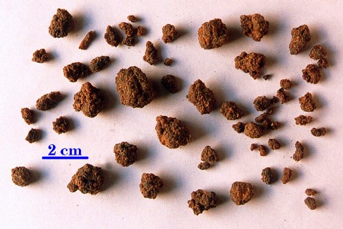 Một dược Một dược