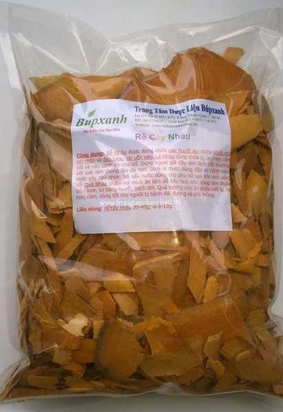 Rễ cây nhàu Rễ cây nhàu