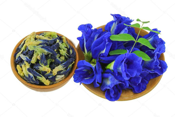 Hoa đậu biếc Hoa đậu biếc