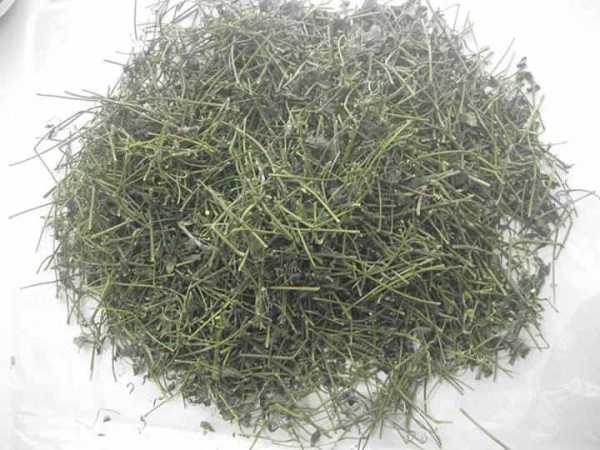 Trà giảo cổ lam Trà giảo cổ lam