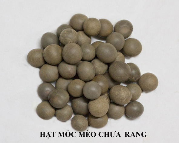 Hạt Móc Mèo Hạt Móc Mèo