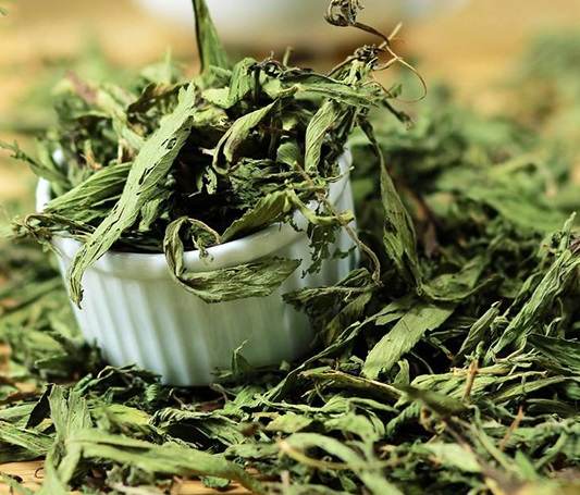 Cây cỏ ngọt Cây cỏ ngọt
