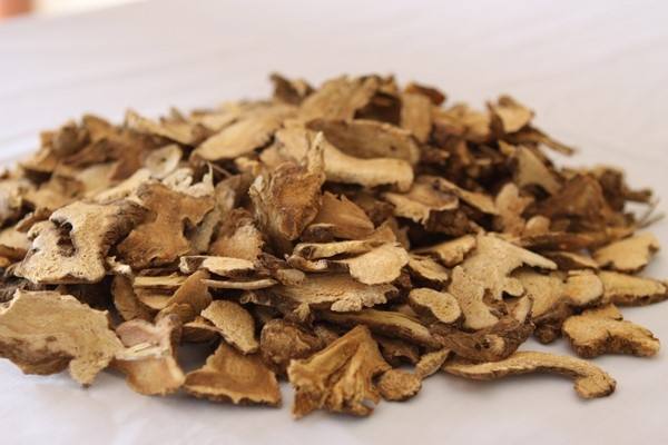 Bạch truật, công dụng cây bạch truật, địa chỉ bán bạch truật