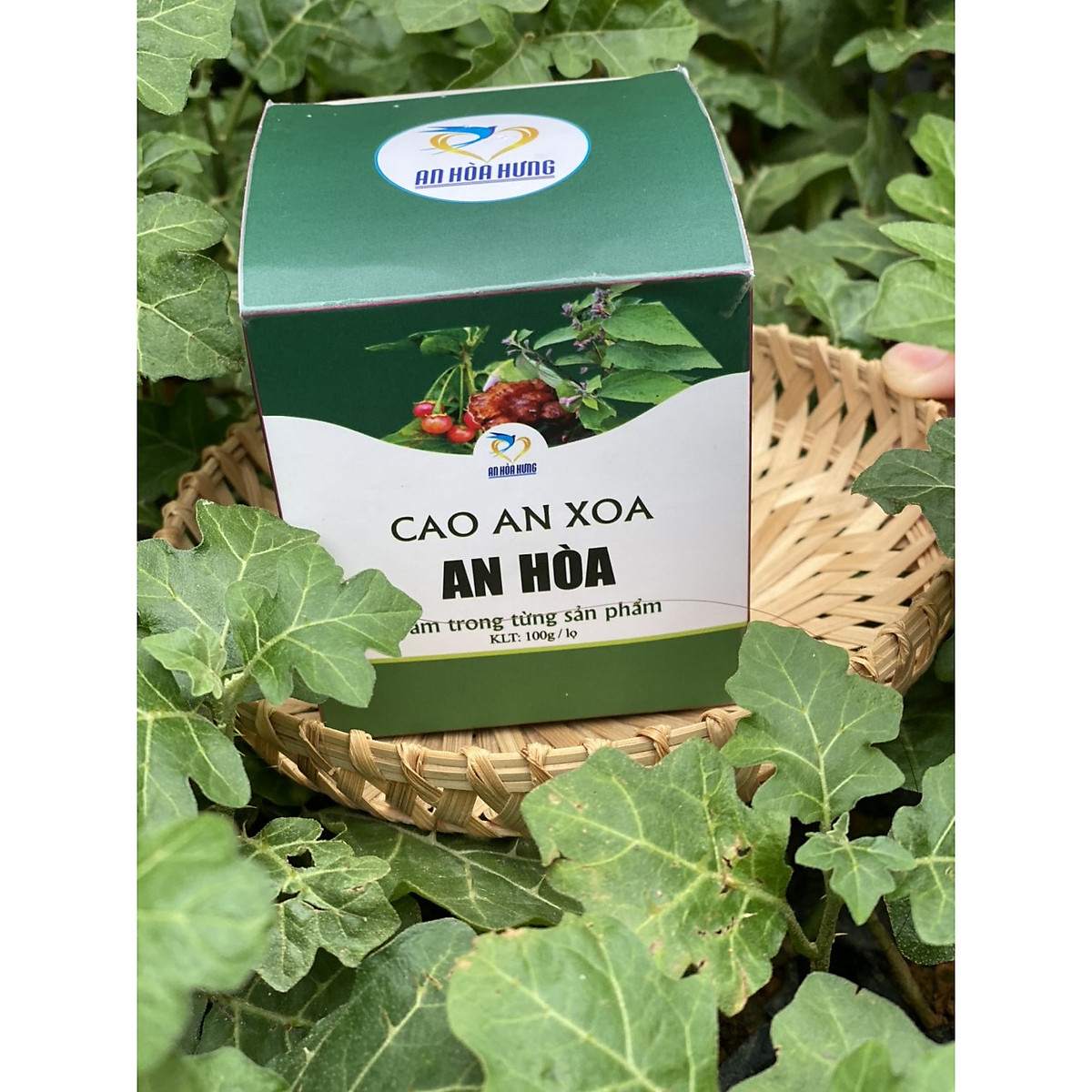 cao_an_xoa_an_hoa_chua_viem_gan_a