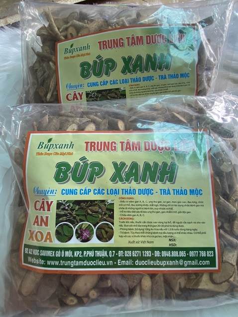 chữa bệnh ung thư bằng cây an xoa