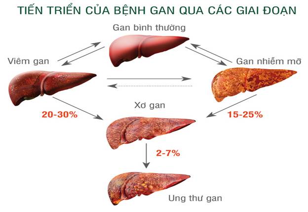 Công dụng cây an xoa