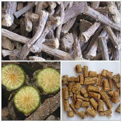 Dây thần thông hỗ trợ bệnh tiểu đường