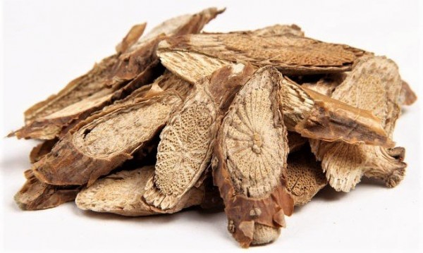 Dây thần thông hỗ trợ bệnh tiểu đường