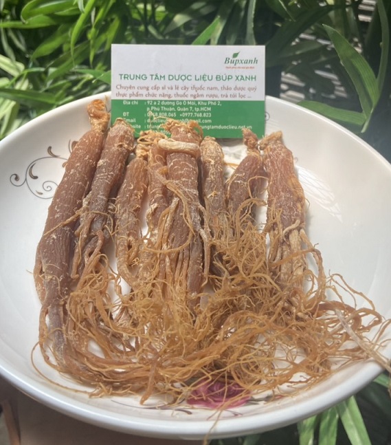 mua sâm cao ly - hông sâm ở đâu tốt