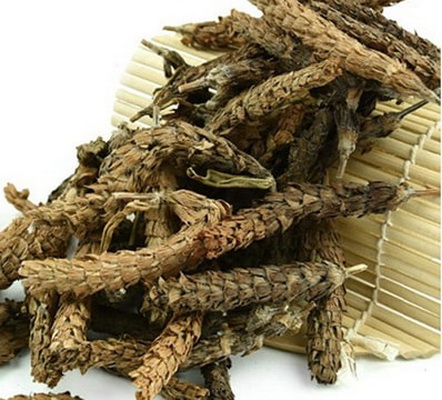 Mua hạ khô thảo ở đâu để thanh nhiệt giải độc