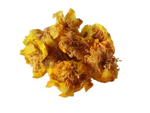 Kim hoa tr&agrave;, c&ocirc;ng dụng c&acirc;y kim hoa tr&agrave;, địa chỉ b&aacute;n kim hoa tr&agrave;