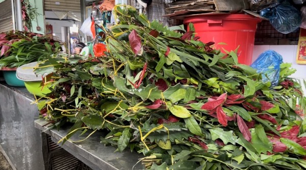 la_xong_tet_doan_ngo
