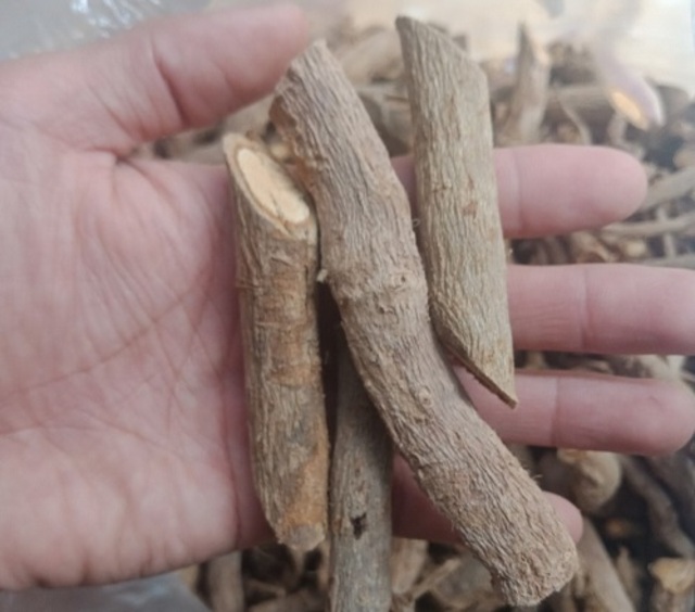 ngam_ruou_sam_xuyen_da_kho