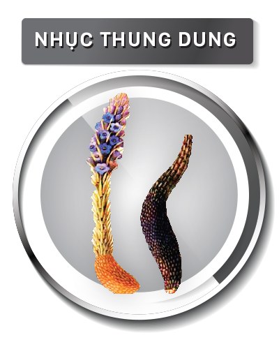 nhuc_thung_dung_vien_18