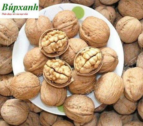 sự khác biệt giữa quả óc chó mỹ và trung quốc