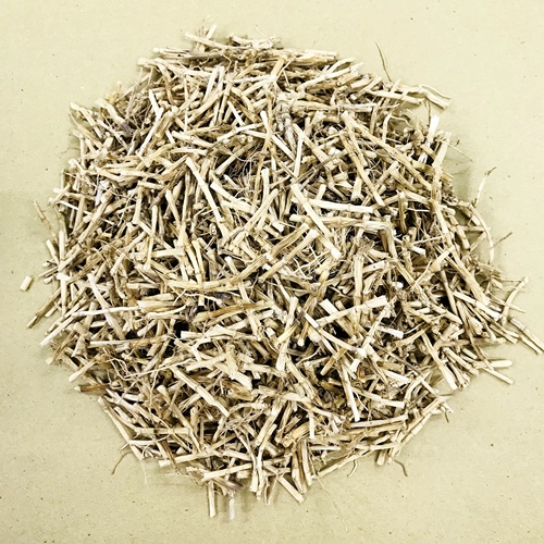 Rễ cây cỏ tranh chữa bệnh gì