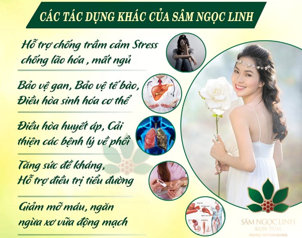 sam_ngoc_linh_tk5