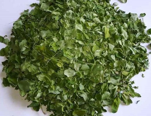 Nguồn gốc cây chùm ngây