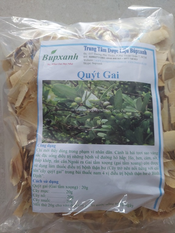 Cây quýt gai