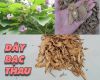 Cây bạc thau