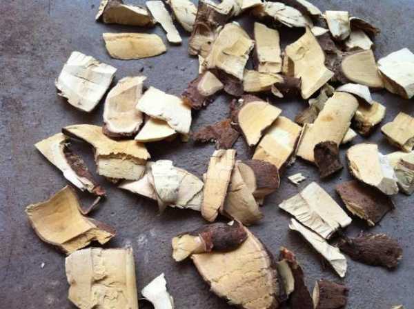 Cây thuốc trị mụn là cây gì