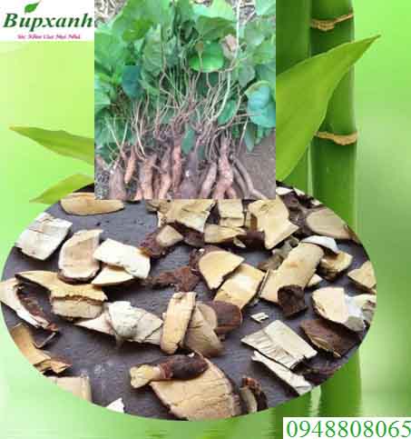 Rượu thuốc trị mụn Rượu thuốc trị mụn