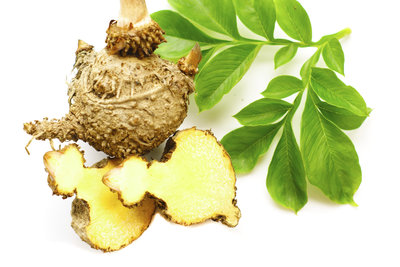 Khoai Nưa Khoai Nưa