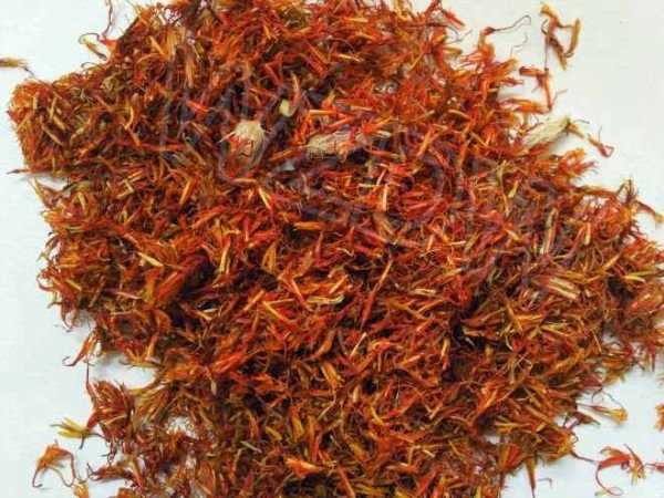Hồng lam hoa Hồng lam hoa