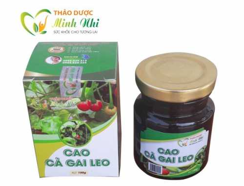 Cao cà gai leo