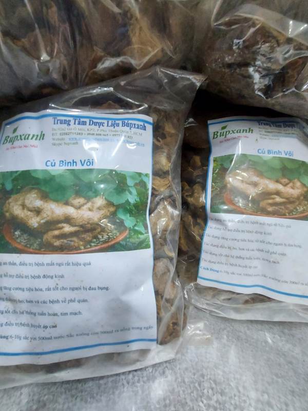 Củ bình vôi có tác dụng chữa bệnh cao huyết áp và giúp dễ ngủ, chẵ bệnh dạ dày Củ bình vôi có tác dụng chữa bệnh cao huyết áp và giúp dễ ngủ, chẵ bệnh dạ dày