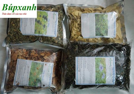 Cây phèn đen có công dụng tuyệt vời trong điều trị bệnh suy thận và tình trạng bí tiếu