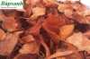 Thổ phục linh giúp điều trị bệnh đau nhức xướng khớp, lưu thông khí huyết, bệnh suy tim, chữa đau bụng
