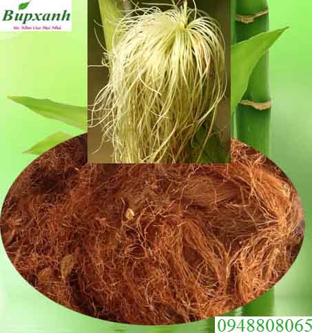 Râu Bắp Râu Bắp