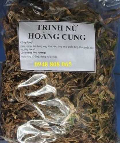 Trinh nữ hoàng cung