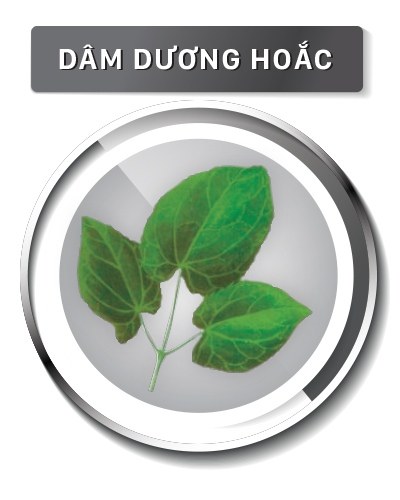 Dâm dương hoắc