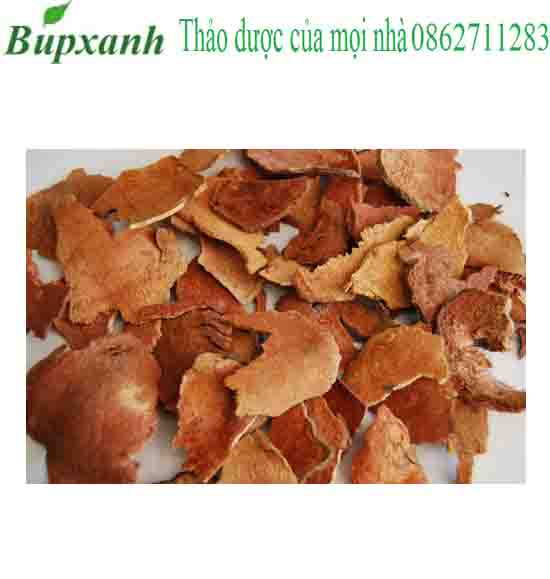 Củ Khúc Khắc Củ Khúc Khắc