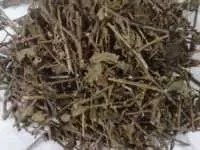 Cây cà gai leo kết hợp cây an xoa