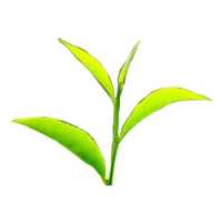 ĐỊA CHỈ BÁN THẢO DƯỢC TẠI BẮC GIANG