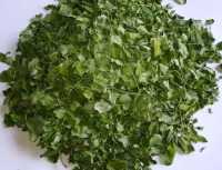Cây chùm ngây chữa bệnh gì