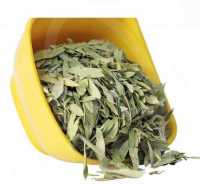Tác dụng phan tả diệp