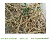 Địa chỉ bán xáo tam phân tại hcm
