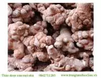 Địa chỉ bán tam thất tại tiền giang