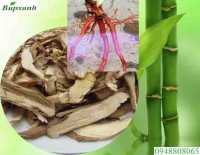 Công dụng sâm cau
