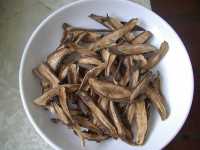 Địa chỉ bán ngưu bàng
