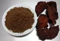Bột hà thủ ô nguyên chất