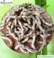 Ba kích tươi ngâm rượu tốt hay ba kích khô