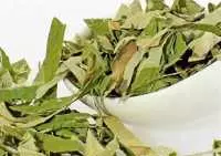 Trà lá sen bán ở đâu, mua trà lá sen ở đâu