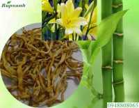 Cây hoa hiên chữa bệnh giảm tiểu cầu