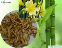 Cây hoa hiên chữa bệnh giảm tiểu cầu