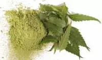 Mua lá neem ấn độ ở đâu